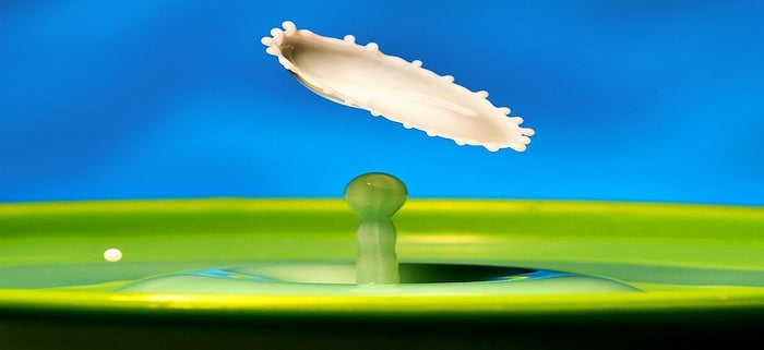 What is The Purpose of Purpose?