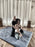 2 day Vedic Thai Yoga Bodywork ( Feb 1/2,2025)