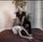 Vedic Bodywork-Marma Point Therapy 2 Day Futon Massage Class
