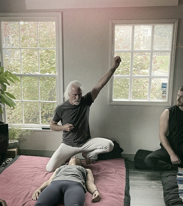 3 day Vedic Thai Bodywork in Austria 2024